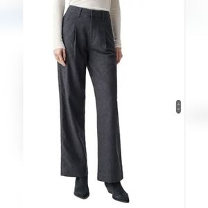 Never Worn Pleated Pants